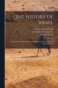 bokomslag The History Of Israel