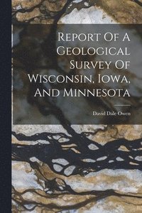 bokomslag Report Of A Geological Survey Of Wisconsin, Iowa, And Minnesota