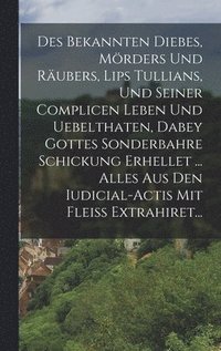 bokomslag Des Bekannten Diebes, Mrders Und Rubers, Lips Tullians, Und Seiner Complicen Leben Und Uebelthaten, Dabey Gottes Sonderbahre Schickung Erhellet ... Alles Aus Den Iudicial-actis Mit Flei