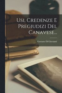 bokomslag Usi, Credenze E Pregiudizi Del Canavese...