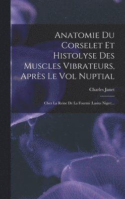 Anatomie Du Corselet Et Histolyse Des Muscles Vibrateurs, Après Le Vol Nuptial