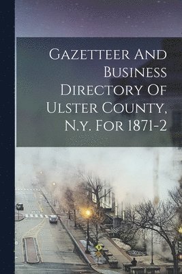 bokomslag Gazetteer And Business Directory Of Ulster County, N.y. For 1871-2