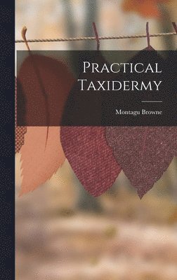 bokomslag Practical Taxidermy