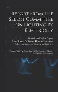 bokomslag Report From The Select Committee On Lighting By Electricity