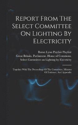 bokomslag Report From The Select Committee On Lighting By Electricity