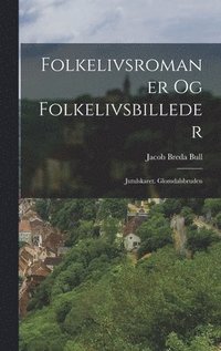 bokomslag Folkelivsromaner Og Folkelivsbilleder