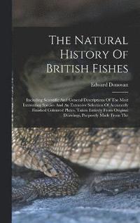 bokomslag The Natural History Of British Fishes