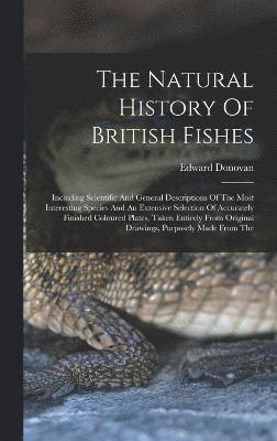 bokomslag The Natural History Of British Fishes