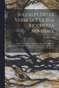 bokomslag Sull'alpe Della Versilia E La Sua Ricchezza Minerale