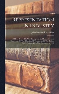 bokomslag Representation In Industry