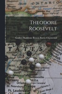 bokomslag Theodore Roosevelt