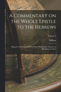bokomslag A Commentary on the Whole Epistle to the Hebrews
