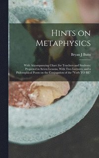 bokomslag Hints on Metaphysics