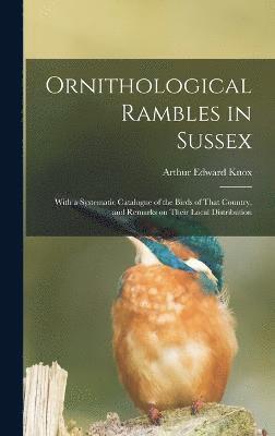 bokomslag Ornithological Rambles in Sussex