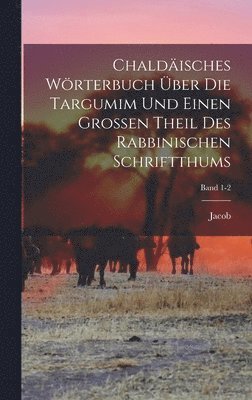 bokomslag Chaldisches Wrterbuch ber die Targumim und einen grossen Theil des Rabbinischen Schriftthums; Band 1-2