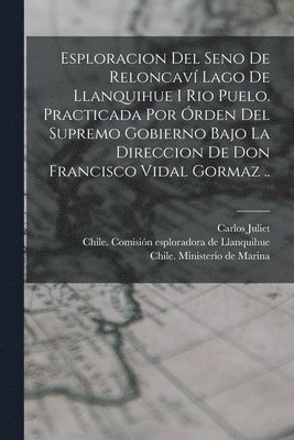 bokomslag Esploracion del seno de Reloncavi&#769; lago de Llanquihue i rio Puelo. Practicada por o&#769;rden del supremo gobierno bajo la direccion de Don Francisco Vidal Gormaz ..