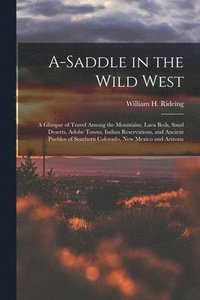 bokomslag A-saddle in the Wild West; a Glimpse of Travel Among the Mountains, Lava Beds, Sand Deserts, Adobe Towns, Indian Reservations, and Ancient Pueblos of Southern Colorado, New Mexico and Arizona