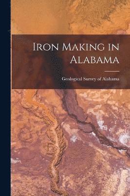 bokomslag Iron Making in Alabama
