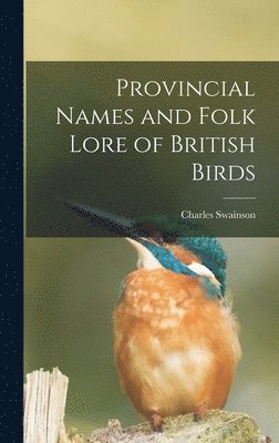bokomslag Provincial Names and Folk Lore of British Birds