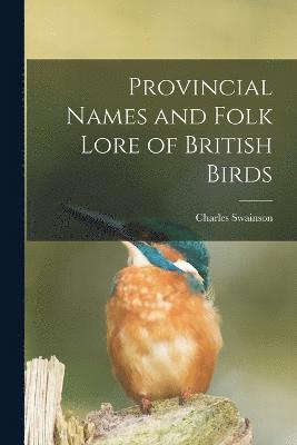 bokomslag Provincial Names and Folk Lore of British Birds