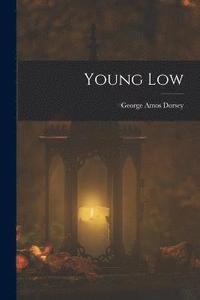 bokomslag Young Low
