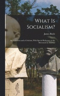 bokomslag What is Socialism?