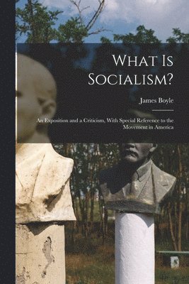 bokomslag What is Socialism?