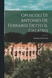 bokomslag Opuscoli di Antonio de Ferrariis Detto il Galateo