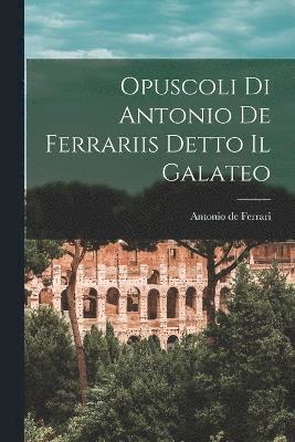 bokomslag Opuscoli di Antonio de Ferrariis Detto il Galateo