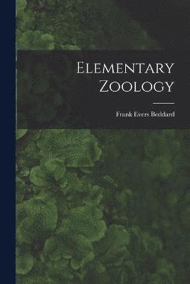 bokomslag Elementary Zoology