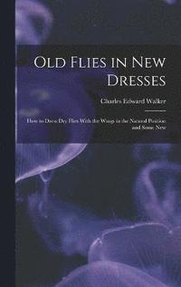 bokomslag Old Flies in New Dresses