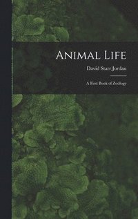 bokomslag Animal Life