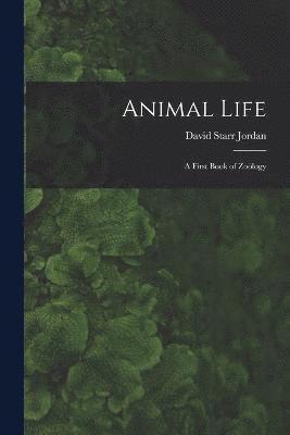 Animal Life 1