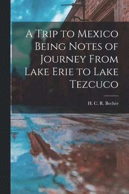 bokomslag Trip to Mexico Being Notes of Journey From Lake Erie to Lake Tezcuco