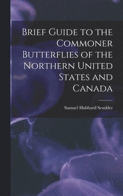 bokomslag Brief Guide to the Commoner Butterflies of the Northern United States and Canada