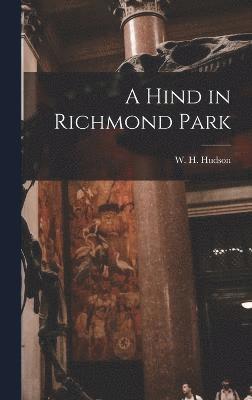 Hind in Richmond Park 1