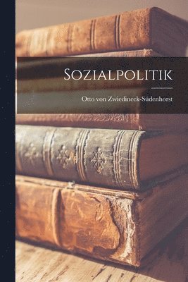 bokomslag Sozialpolitik