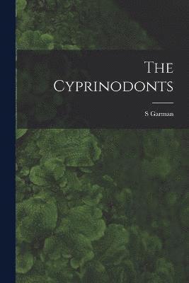 The Cyprinodonts 1