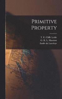 bokomslag Primitive Property