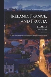 bokomslag Ireland, France, and Prussia; A Selection From the Speeches and Writings of John Mitchel