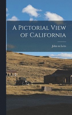 bokomslag Pictorial View of California