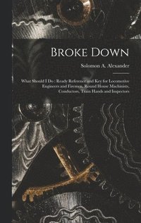 bokomslag Broke Down