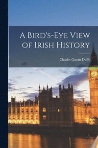 bokomslag A Bird's-eye View of Irish History