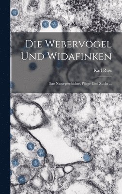 Die Webervgel Und Widafinken 1