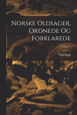 Oluf Rygh - Norske Oldsager, Ordnede Og Forklarede; Volume 2, Häftad