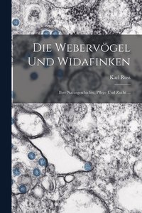 bokomslag Die Webervgel Und Widafinken