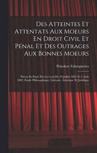 bokomslag Des Atteintes Et Attentats Aux Moeurs En Droit Civil Et Penal Et Des Outrages Aux Bonnes Moeurs