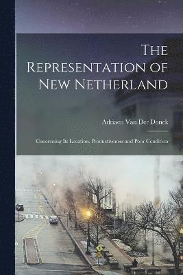 bokomslag The Representation of New Netherland