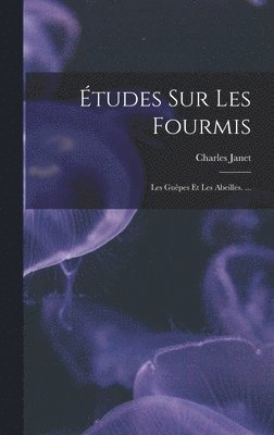 Études Sur Les Fourmis