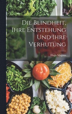 bokomslag Die Blindheit, Ihre Entstehung Und Ihre Verhutung